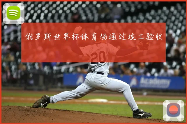 俄罗斯世界杯体育场通过竣工验收