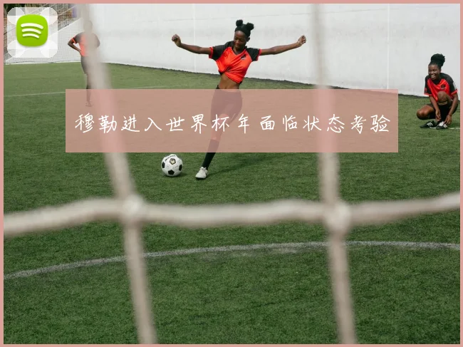 穆勒进入世界杯年面临状态考验